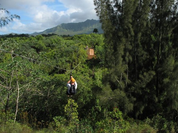 About Kauai Zipline – Experiencing Scenic Glamour from Up Above